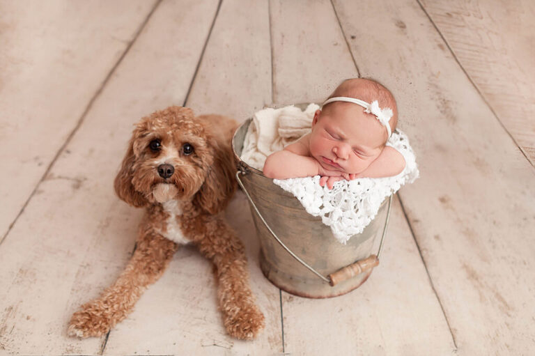 nyc newborn and dog